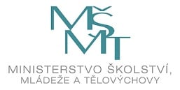 MSMT
