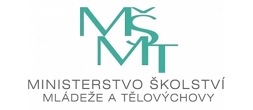 MSMT